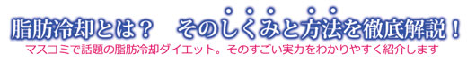 脂肪冷却ダイエットのしくみを完全開設